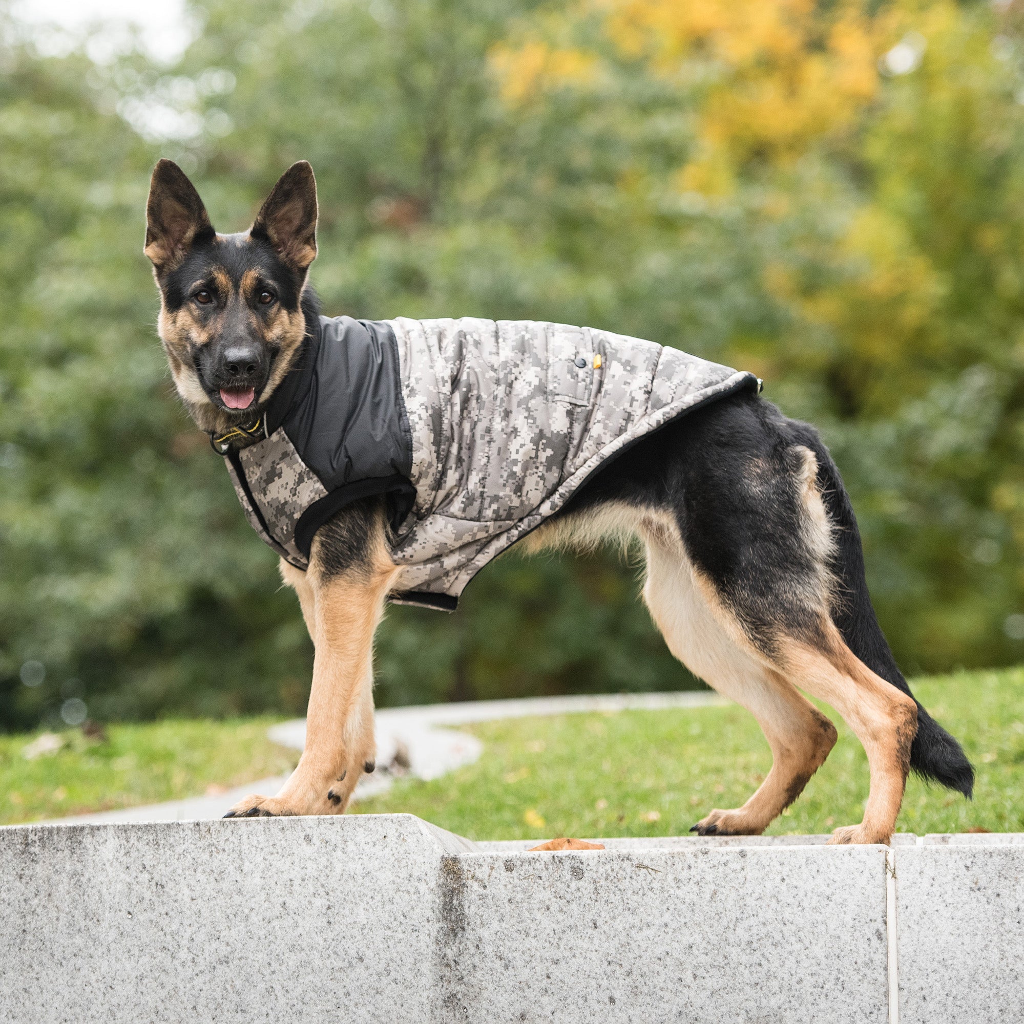 Official Licensed US Army® Dog Jacket - Camo (Sporty Winter Gear)