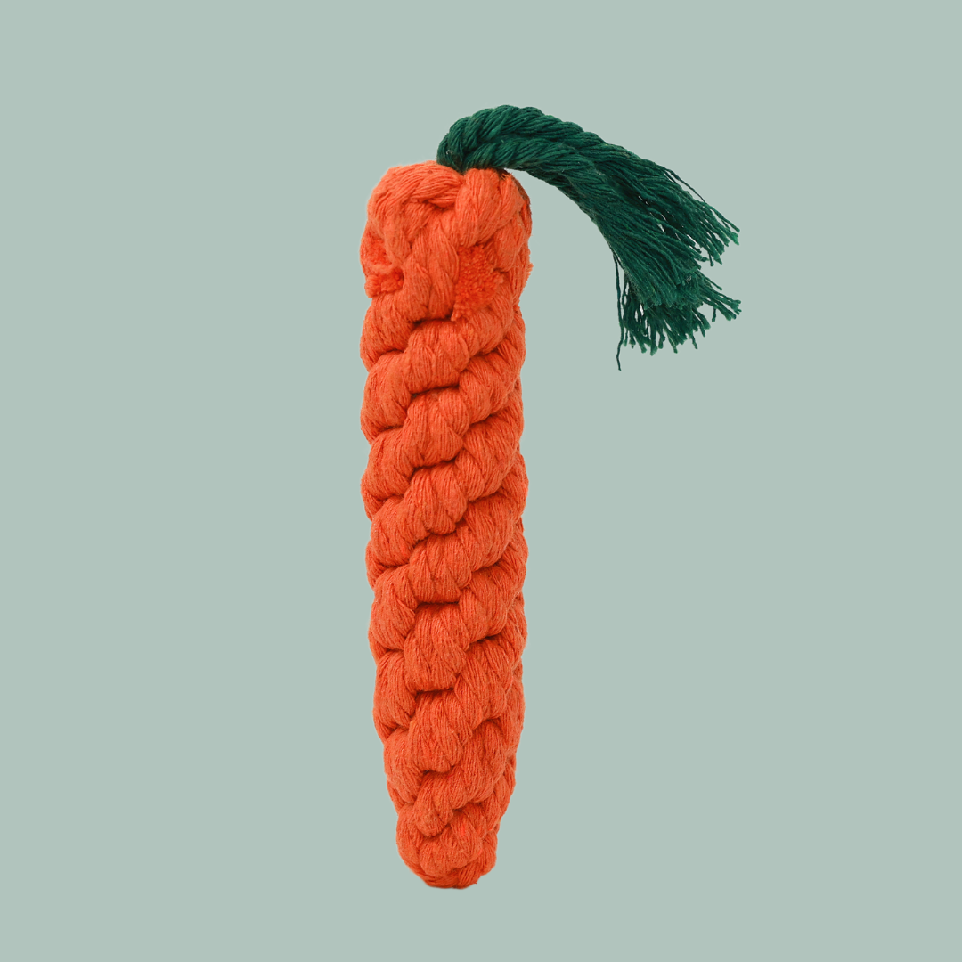 Knotty Large Orange Carrot-1