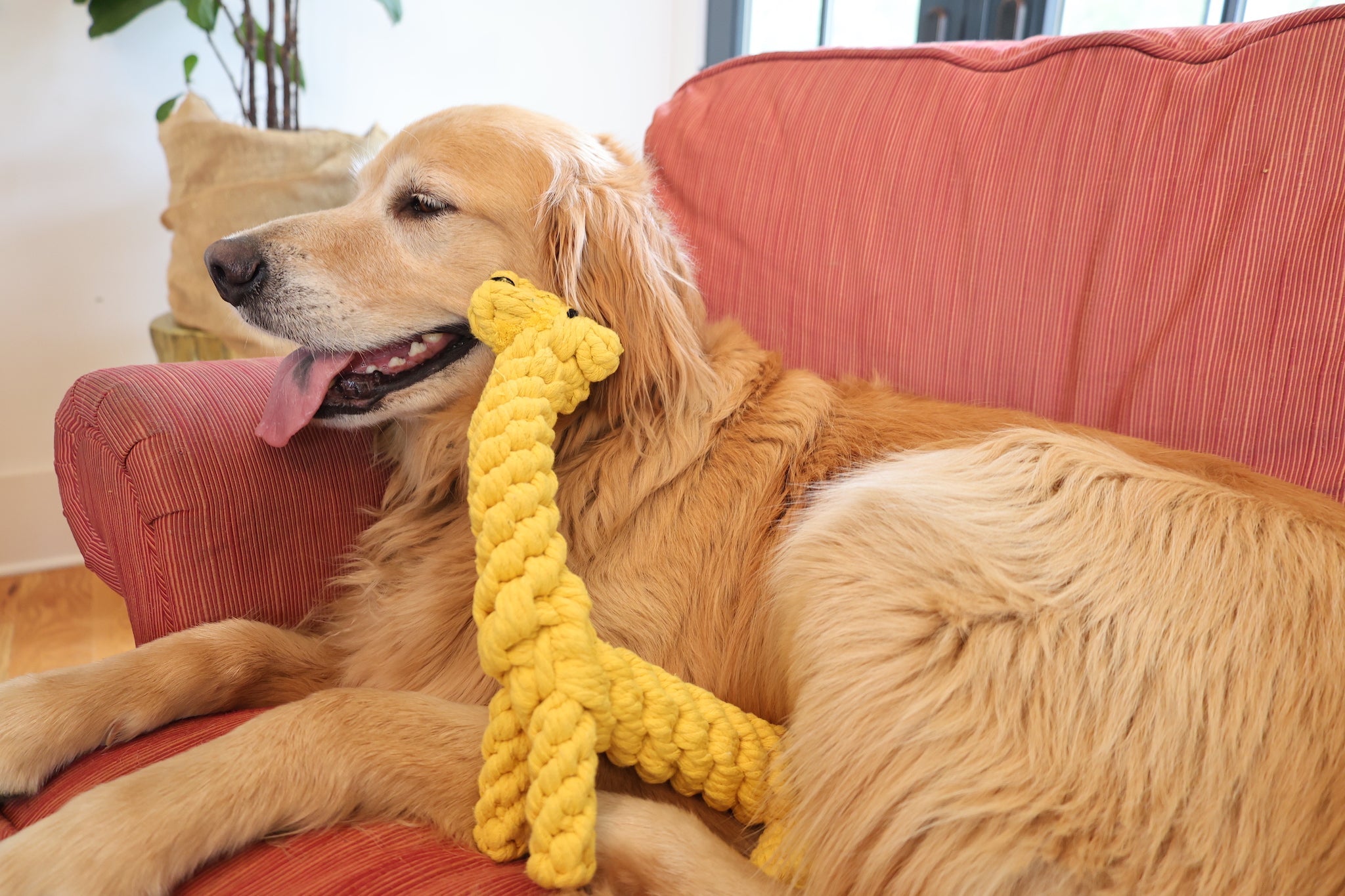 Luxury Handmade Macrame Large Giraffe Rope Toy | Sustainable & Unique - Medium to Large Dog