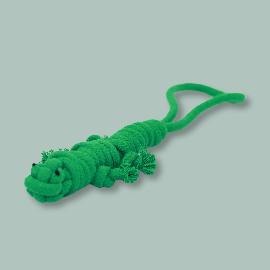 Owen the Green Lizard Rope Toy | Lightweight & Eco-Conscious - Small Dog